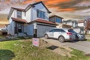 183 saddleback