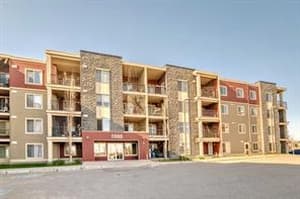 5 Saddlestone