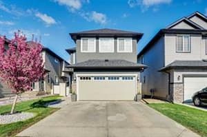 93 Saddletree