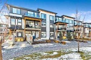 237 Savanna
