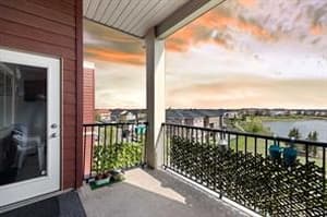15 Saddlestone
