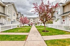 3262 New Brighton