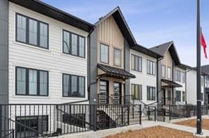 52 Livingston