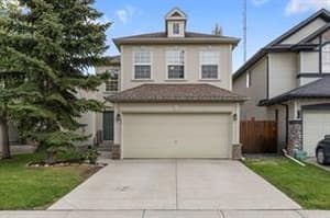 230 Cougarstone