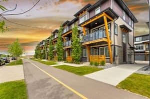 572 Savanna