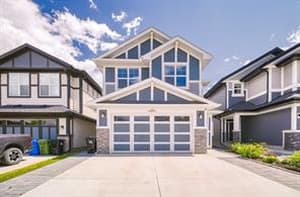 53 Magnolia