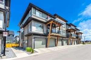 120 SAVANNA