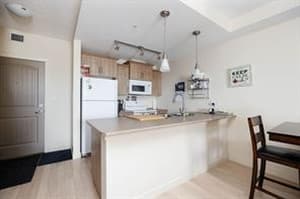 204 Sparrow Hawk