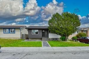 1503 Maitland