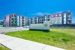 15 saddlestone