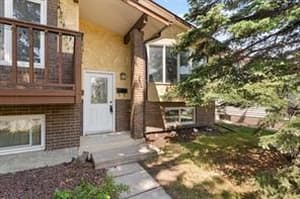 3631 Cedarille