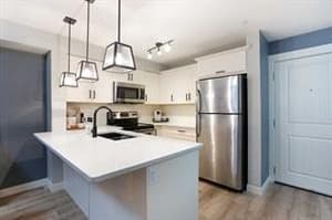 450 Sage Valley