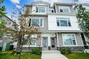 235 Saddlepeace
