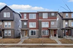 569 savanna