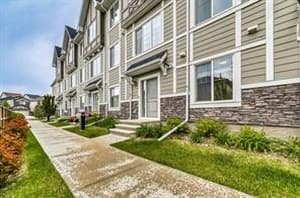 607 Nolanlake