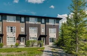 1111 Evansridge