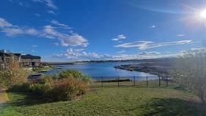 1140 Sailfin Heath