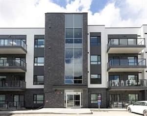 20295 Seton