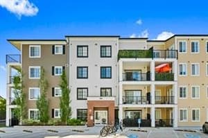 151 Legacy Main