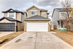 52 Saddleback