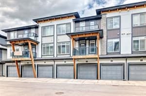 144 Savanna