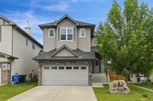 18 Royal Birch