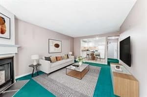 393 Patterson