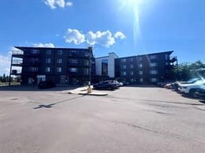 7901 King