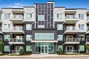 550 Belmont