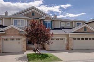 93 Royal Birch