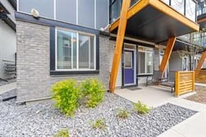 156 Savanna