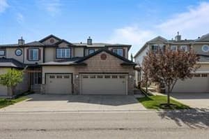 81 Royal Birch