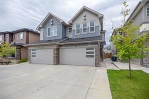 343 Savanna