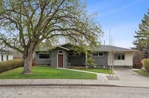16 MEADOWLARK