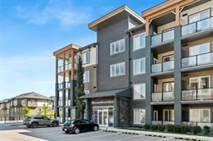 100 Auburn Meadows