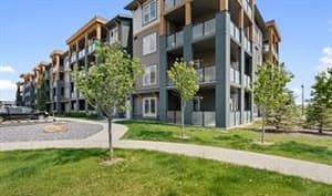 100 Auburn Meadows