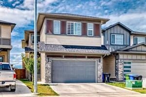 235 Savanna