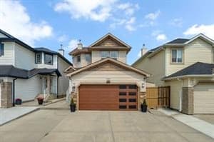 16 Saddletree