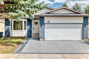 64 Woodstock