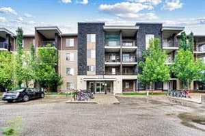 355 Taralake