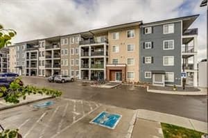 151 Legacy Main