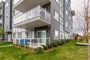 40 Carrington