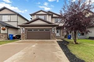 336 Killdeer