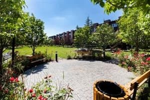 336 Covecreek