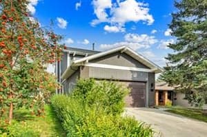 235 Coachwood