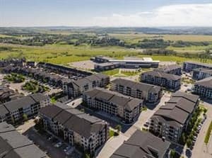 151 Legacy Main