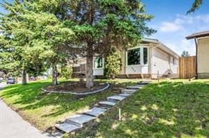354 Maitland