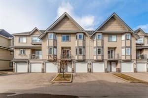 143 Cedarwood