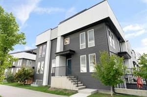 20531 Seton