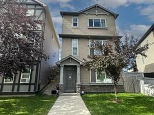 216 New Brighton